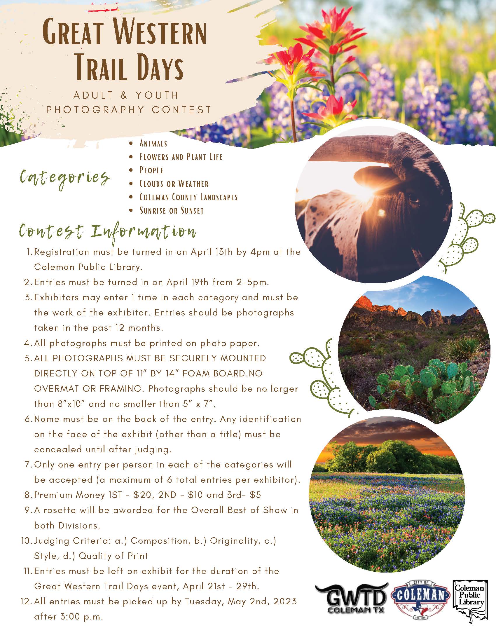 Photo Contest Flier